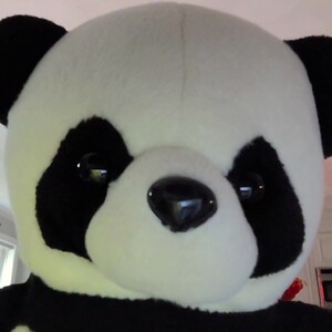 Fundraising Page: sherrie sarno